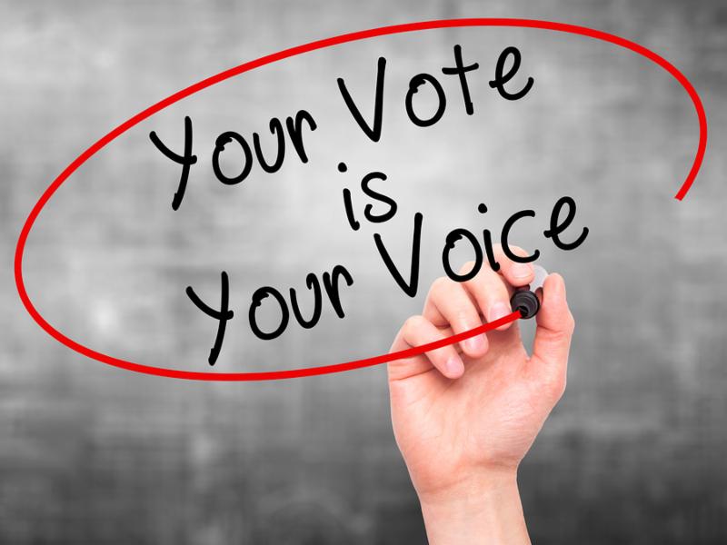 Hand writing "Your Vote is Your Voice" with a red circle around the words